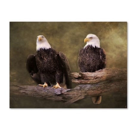 Jai Johnson 'Mates Bald Eagle Pair' Canvas Art,35x47
